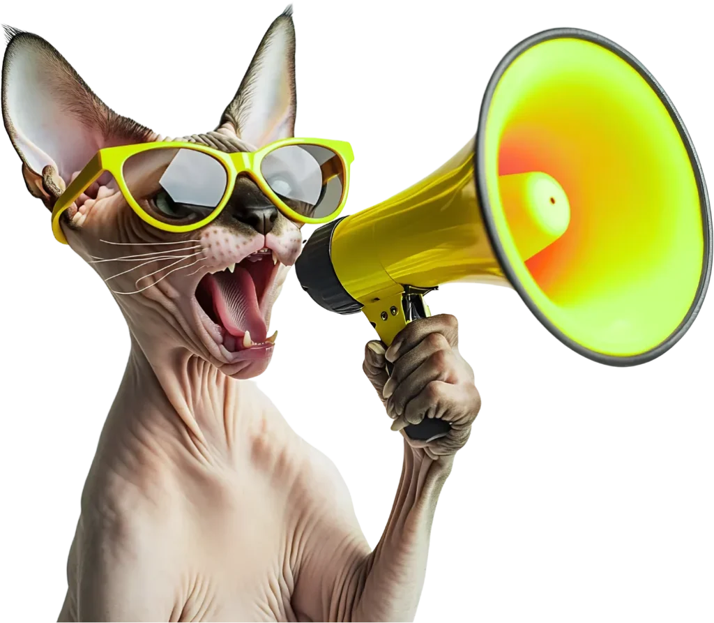 agenzia marketing naga studio